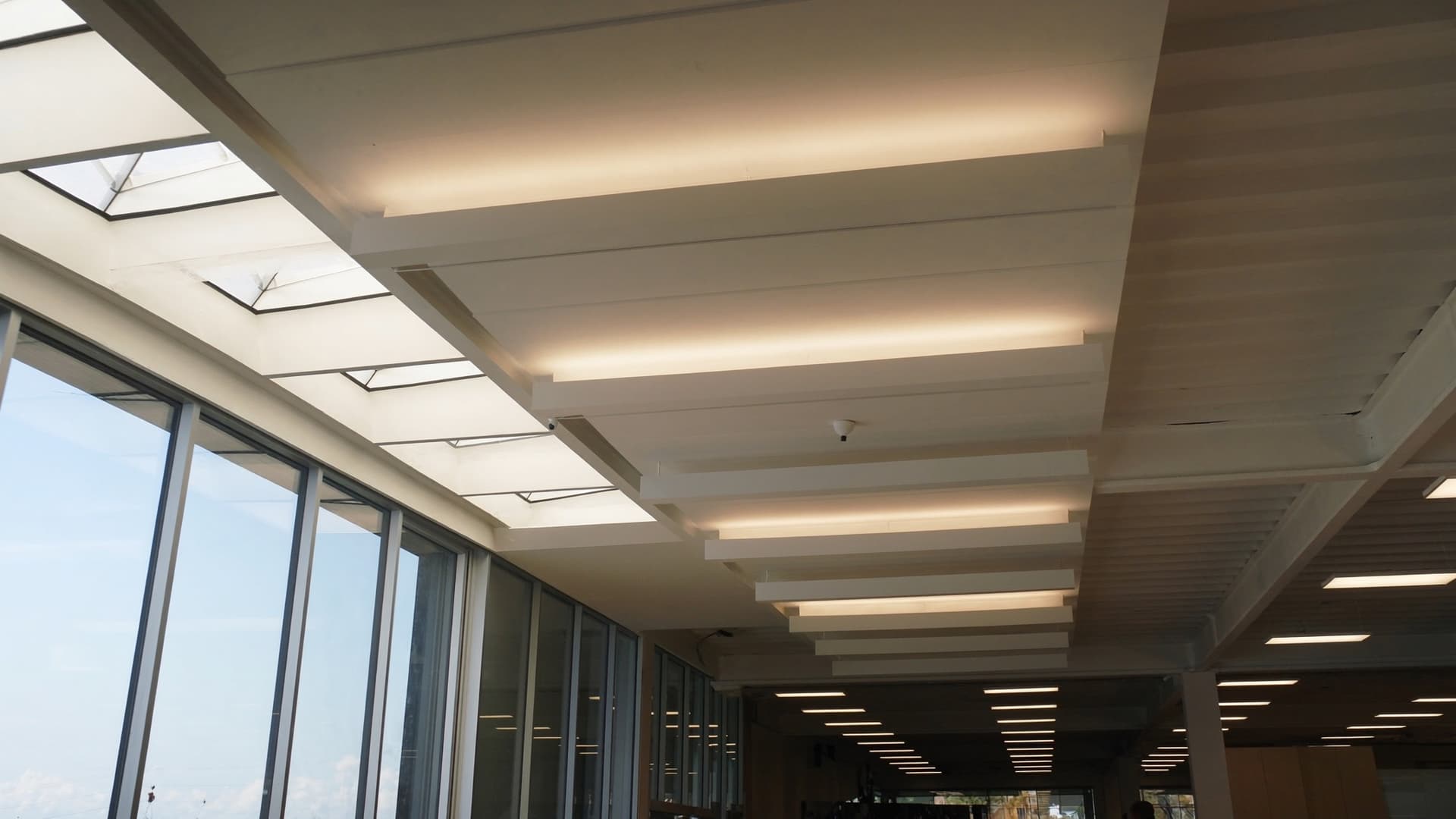 A modern open-plan office with a floor-to-ceiling glass facade letting in bright daylight, and warm linear LED luminaires running along the ceiling deeper into the space.
